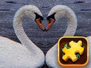 Graceful Swan Puzzle Challenge