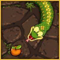 Fruit Collection Puzzle