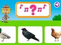 Sound Matching Animal Quiz