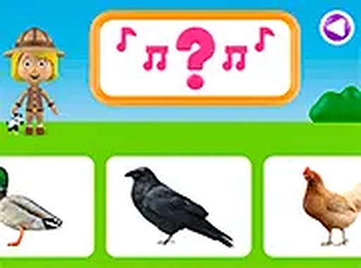 Sound Matching Animal Quiz
