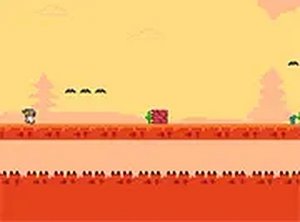 Pet Dash Arcade Adventure