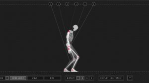 Bone Motion Education Simulator